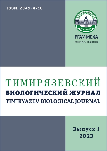 Титульный лист